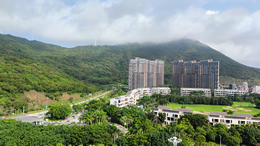 山东视窗