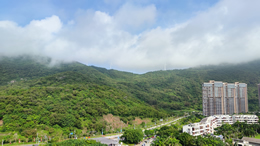 东方汽车网